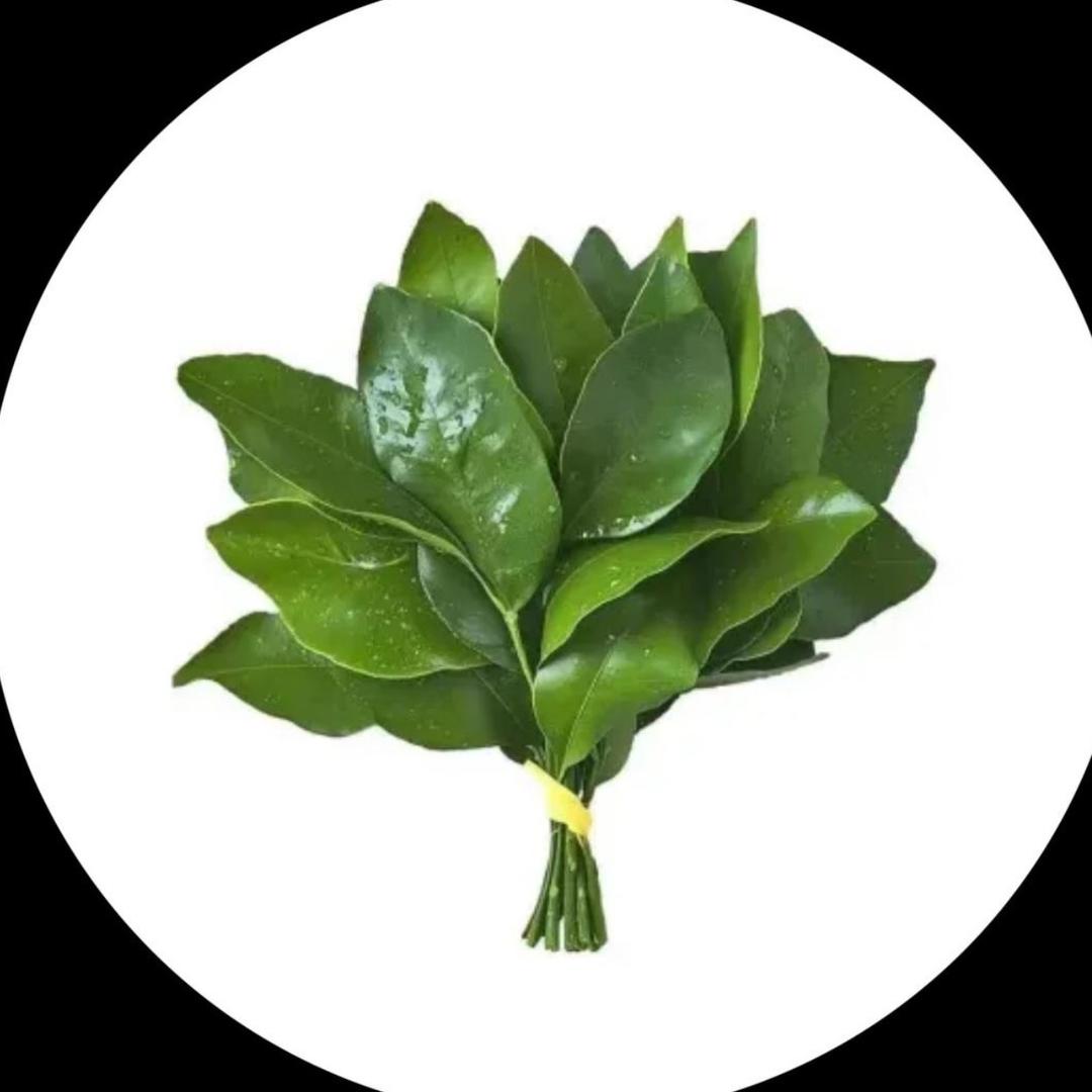 咸鱼不许哭