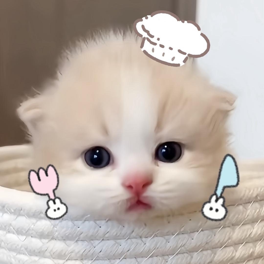 从不开玩笑