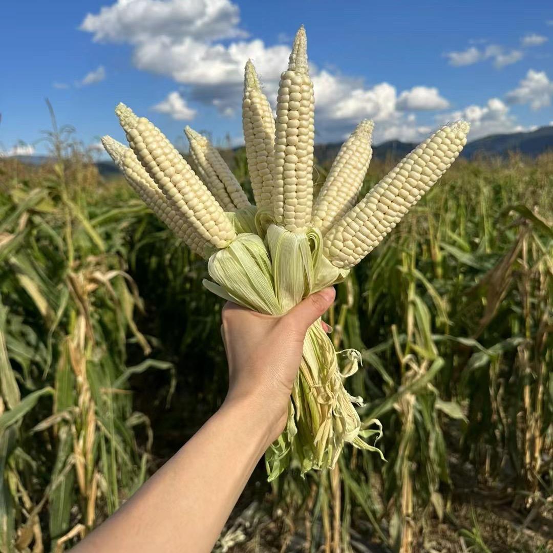 凌东精品百货