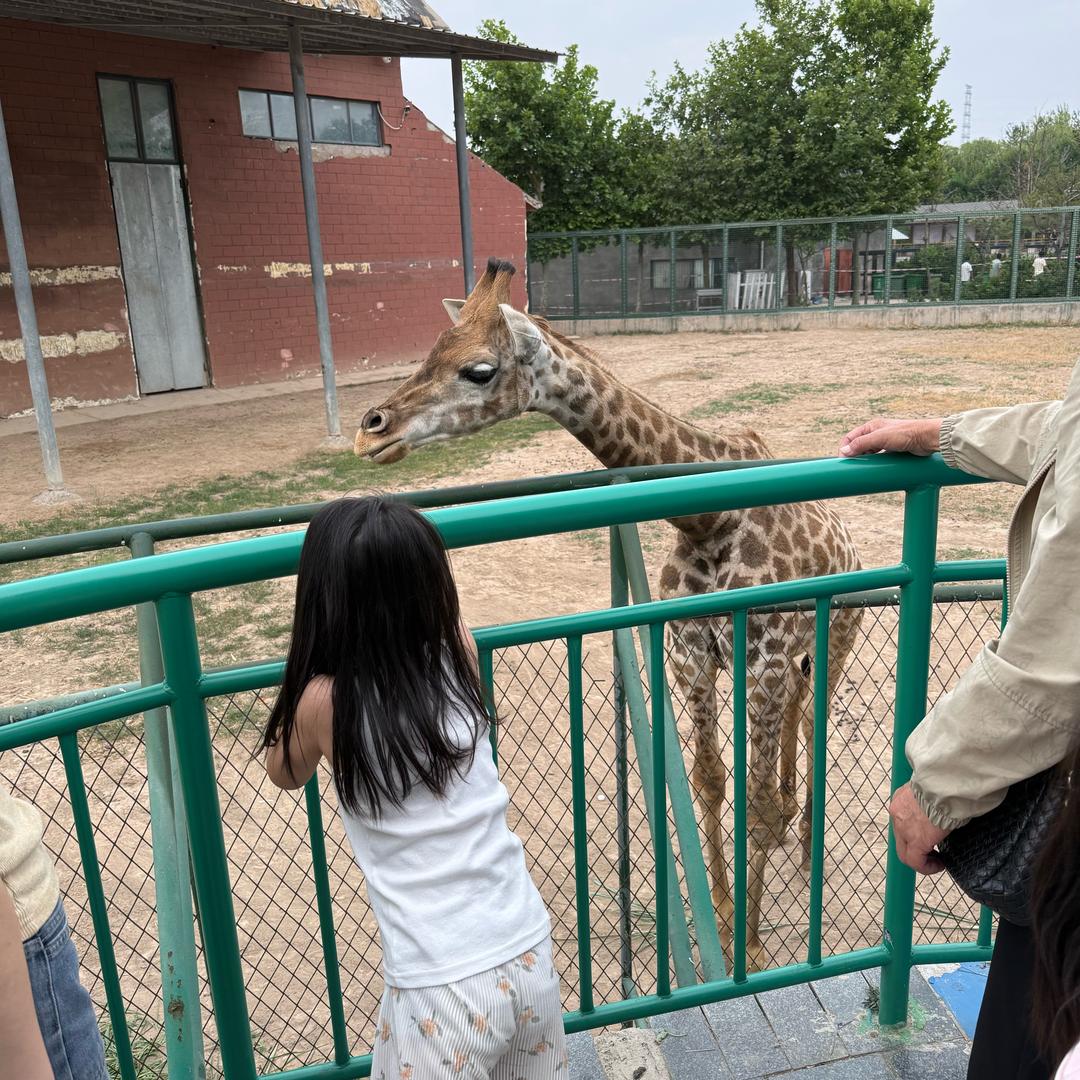 棣棣滴家