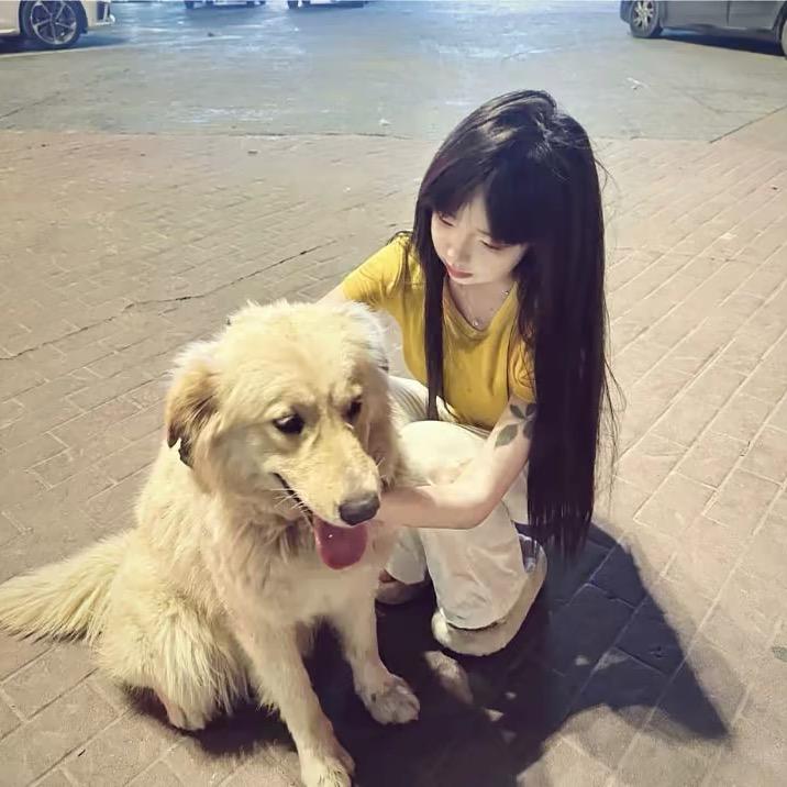 ·        媄莎