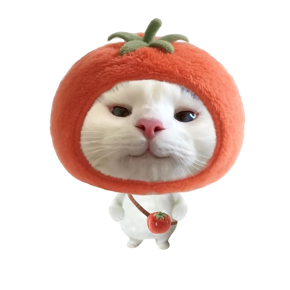 讨厌猫