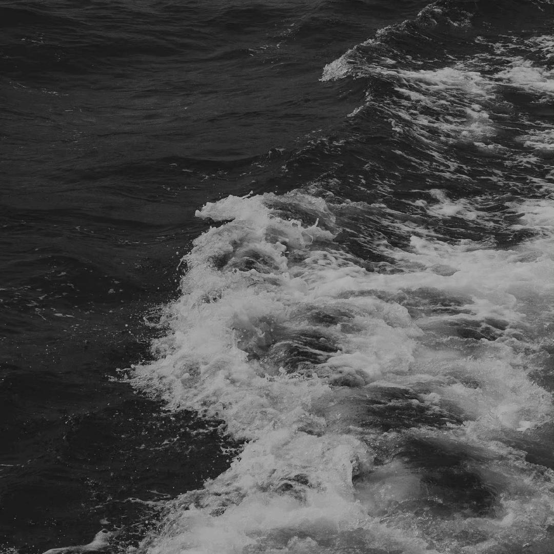 😶‍🌫️花城babe😶‍🌫️