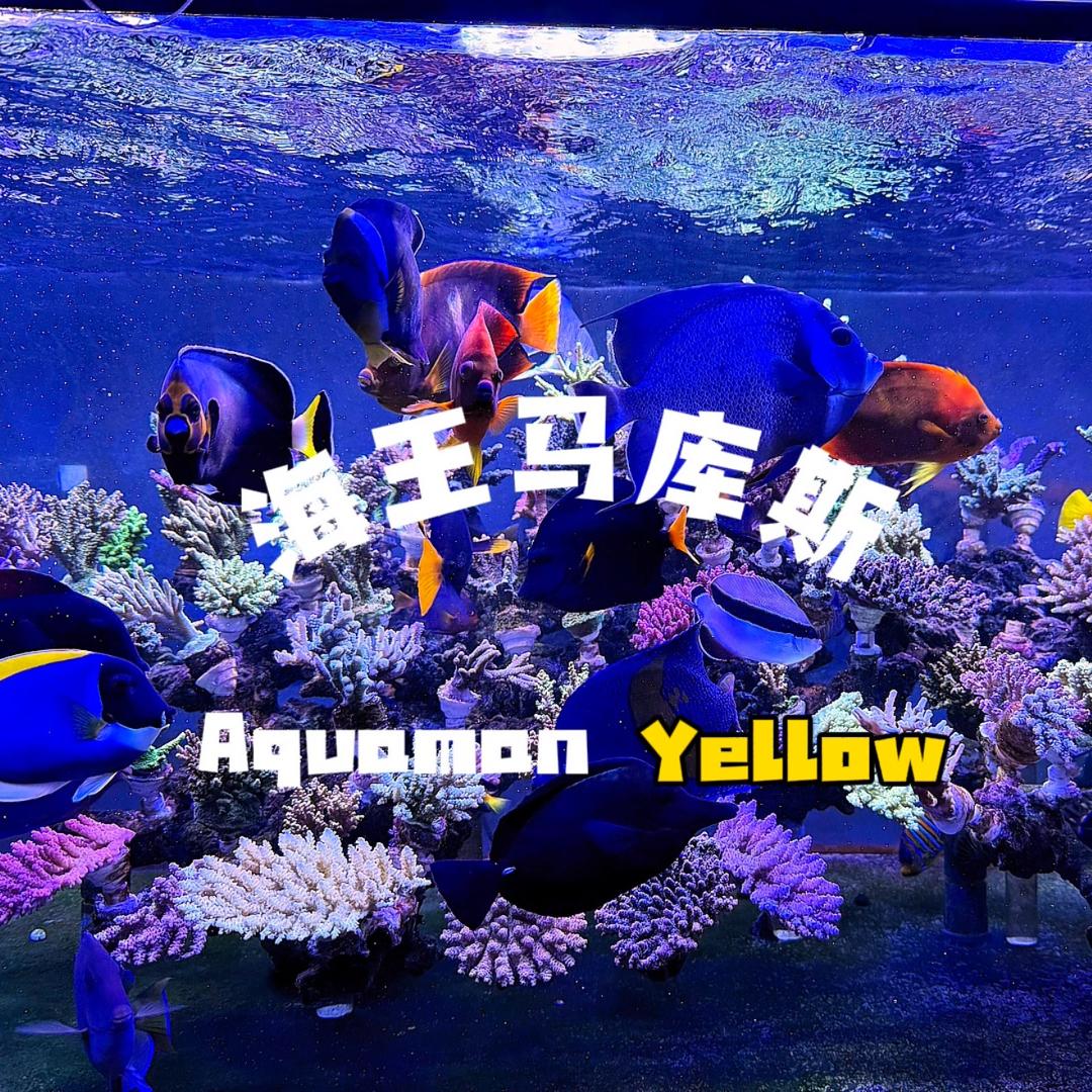 海王马库斯Yellow