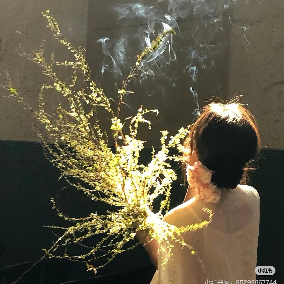 小聂ᵍᵘ 噜噜_