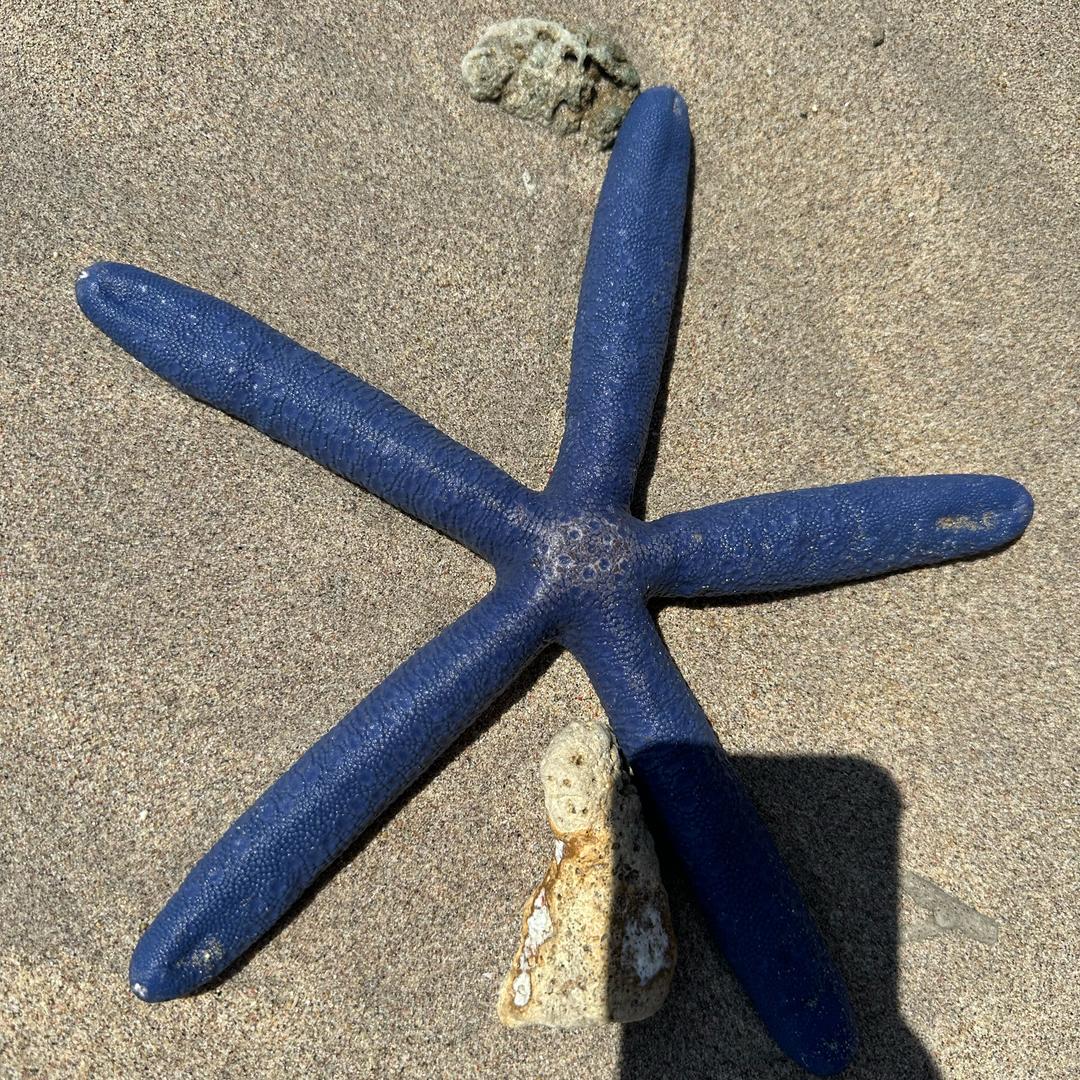 浙江生物潘老师