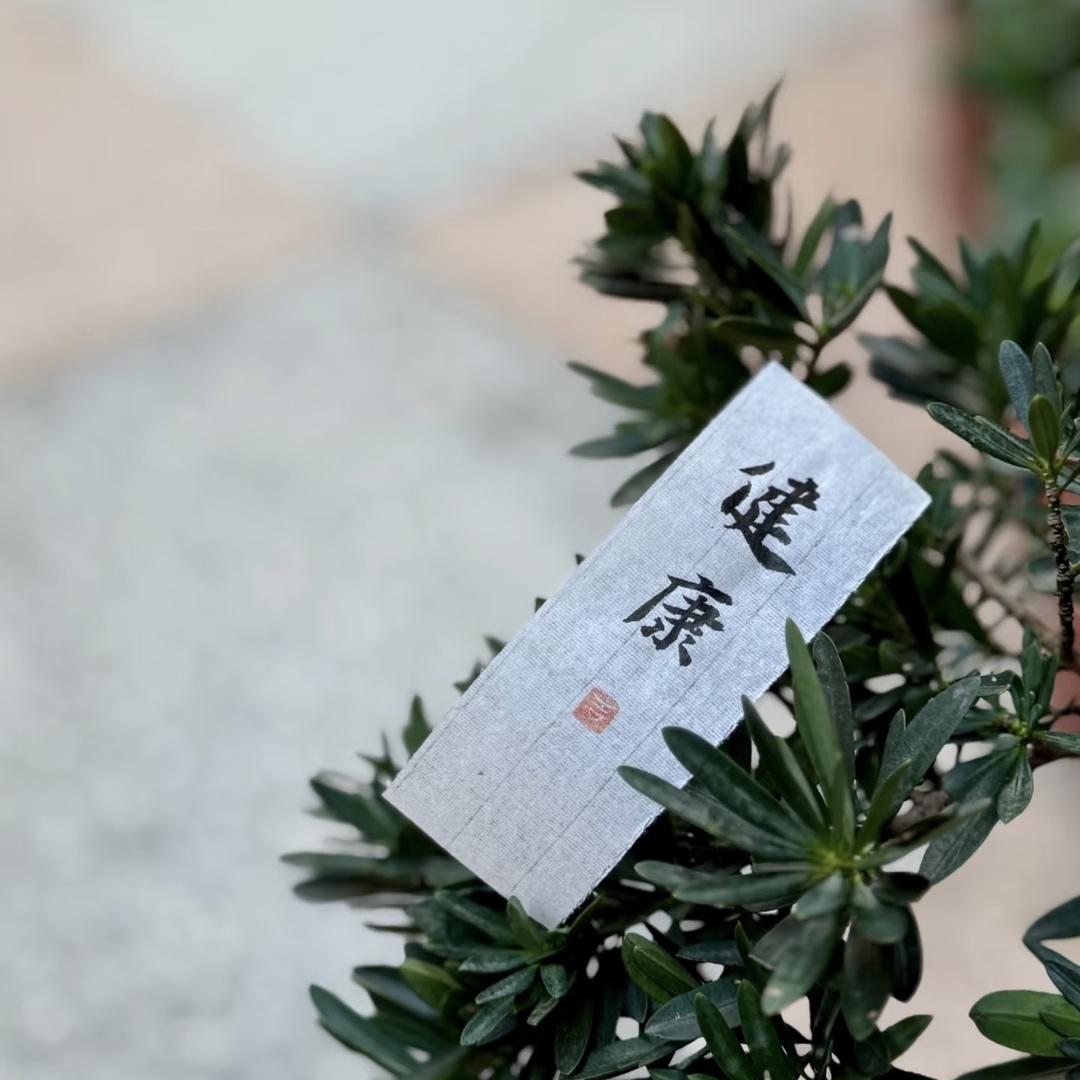 橙子说好物