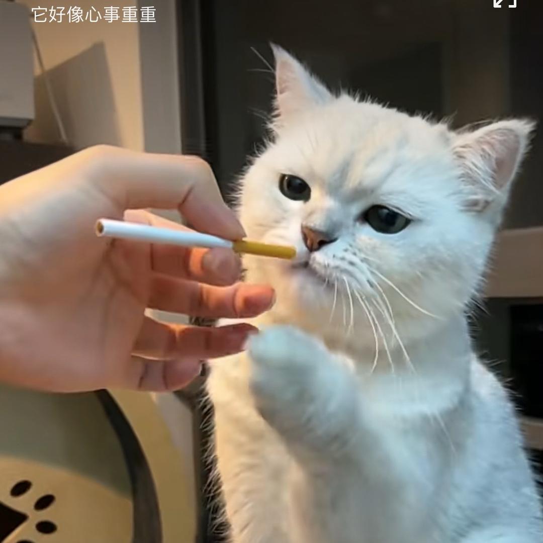 ？