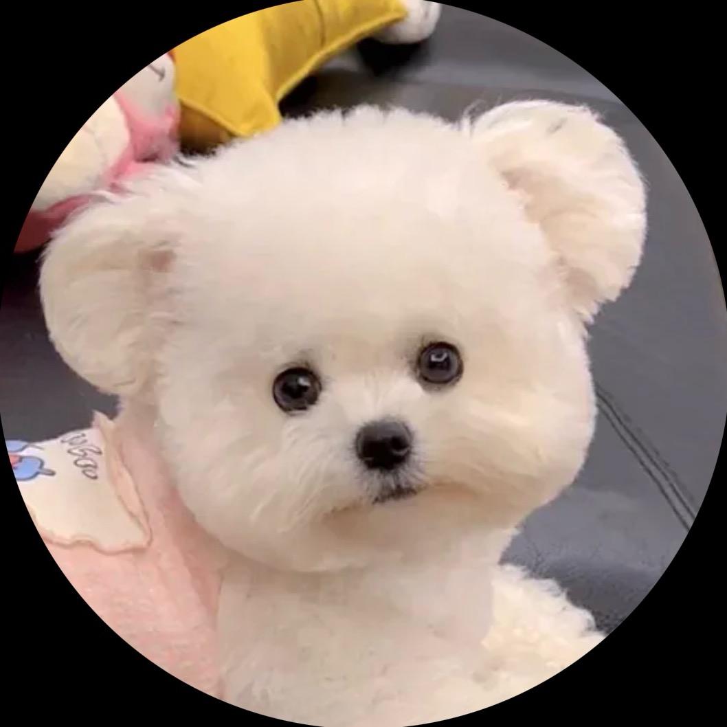 灵感小比熊