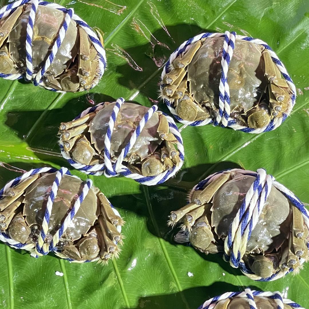 渔人码头海产批发供应链