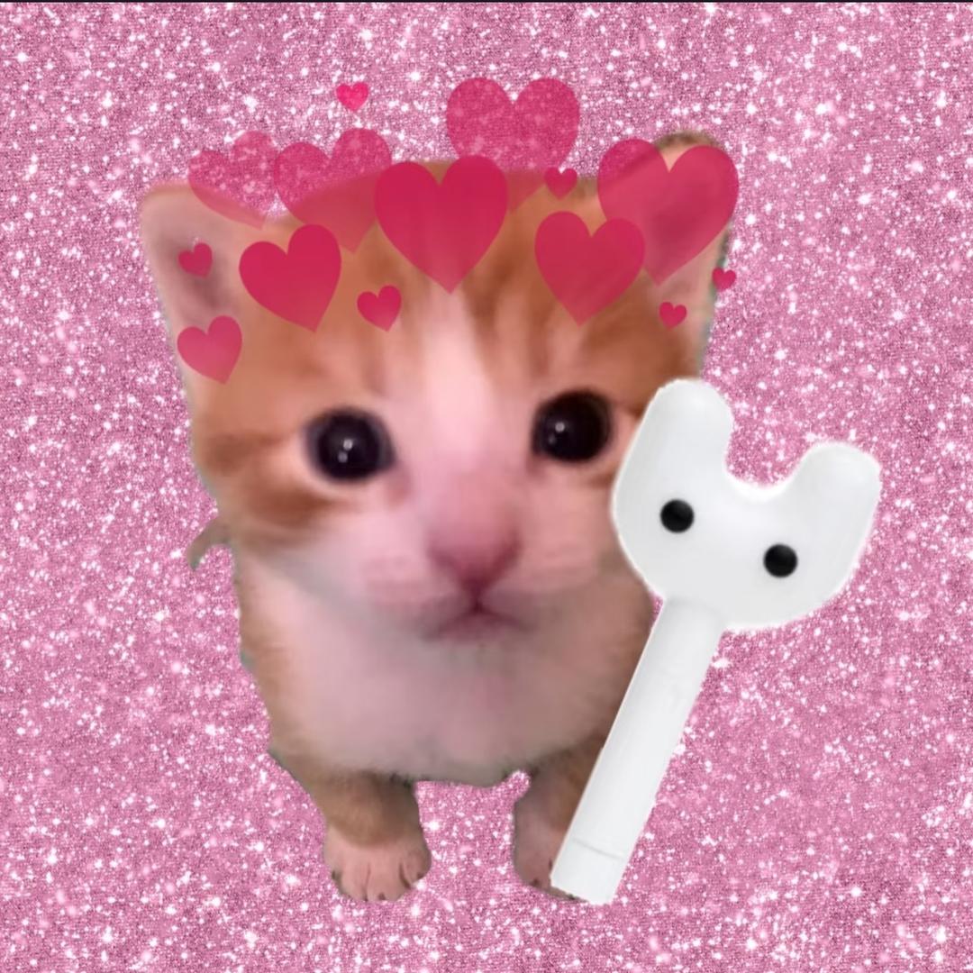 香香猪