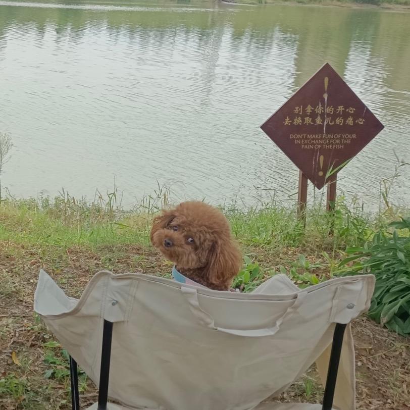 丿丿小玉 提拉米苏