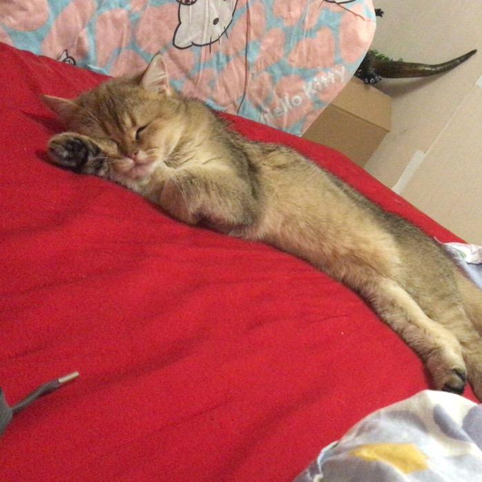 带着乐乐一路狂飙