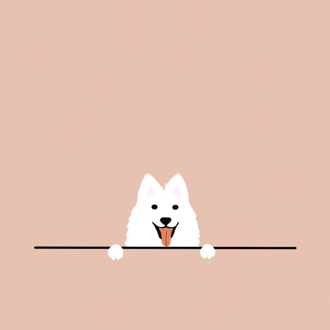 鼓楼萌宠小铺