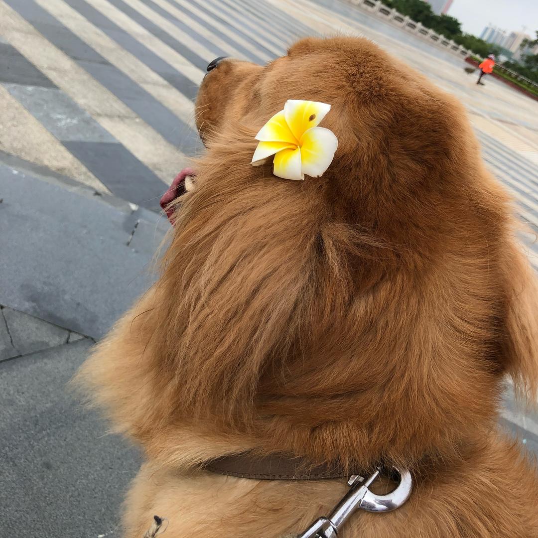 缘来是你