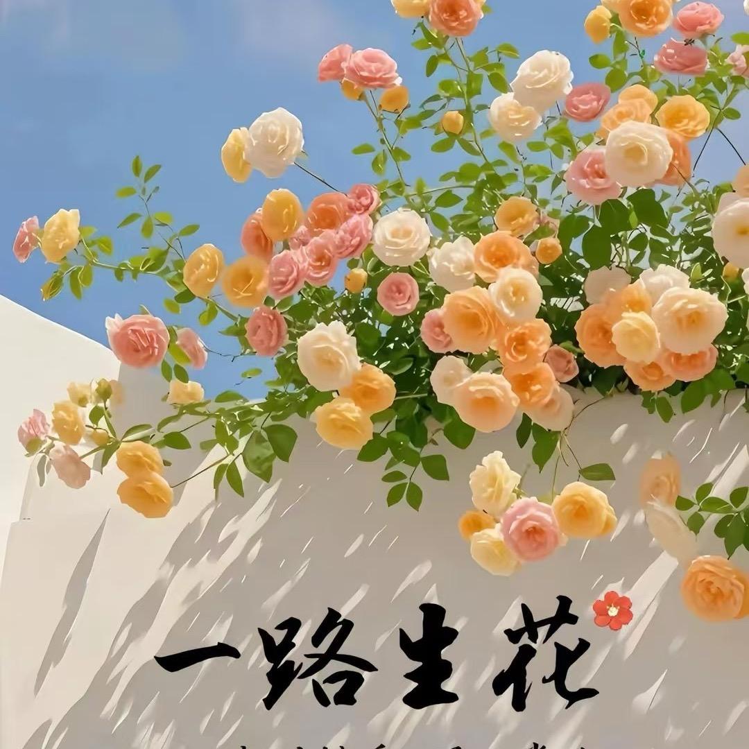 小月