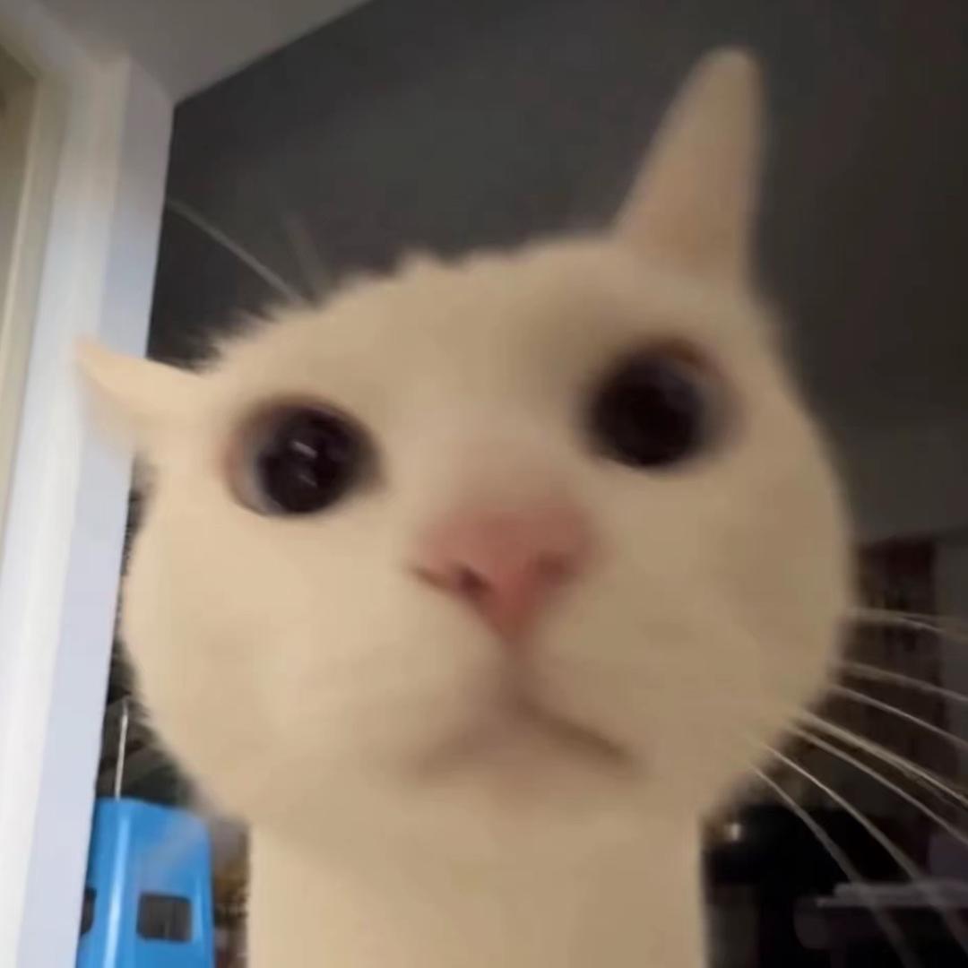 乱想的