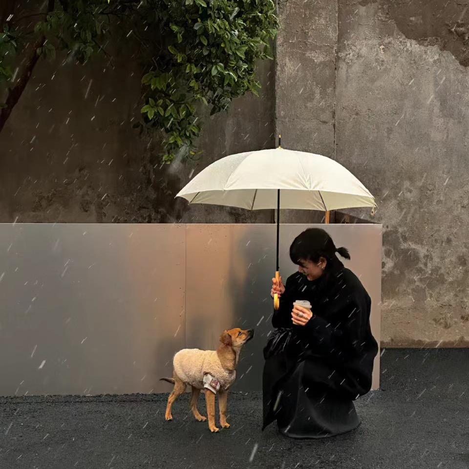 田田今天瘦了吗