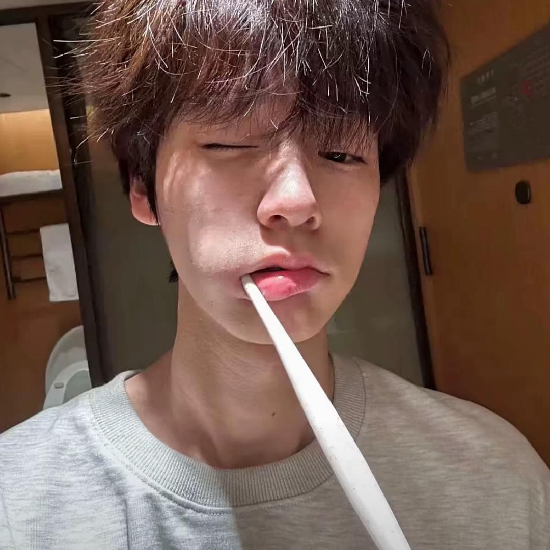 章章章鱼