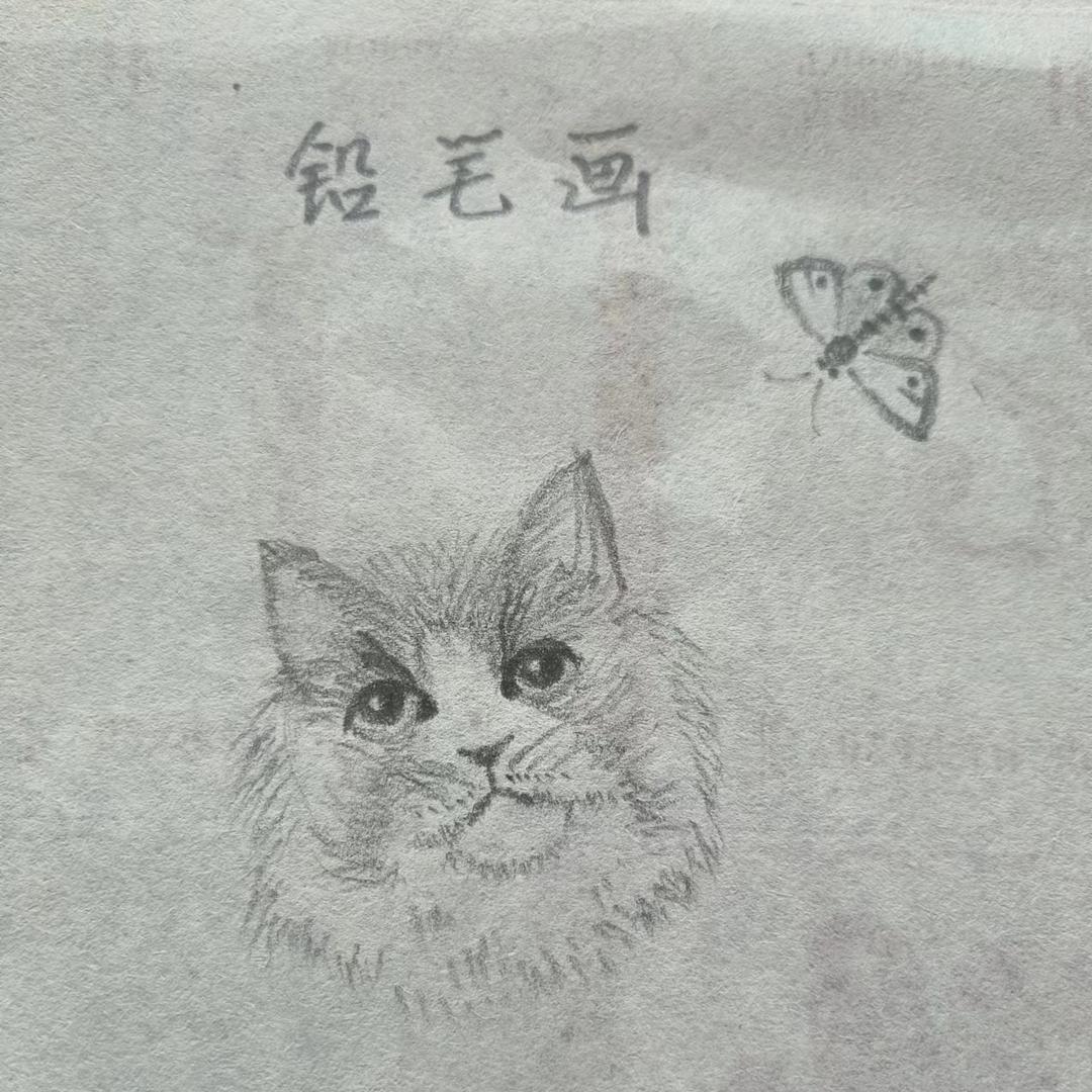 晓木木养花事件日记簿