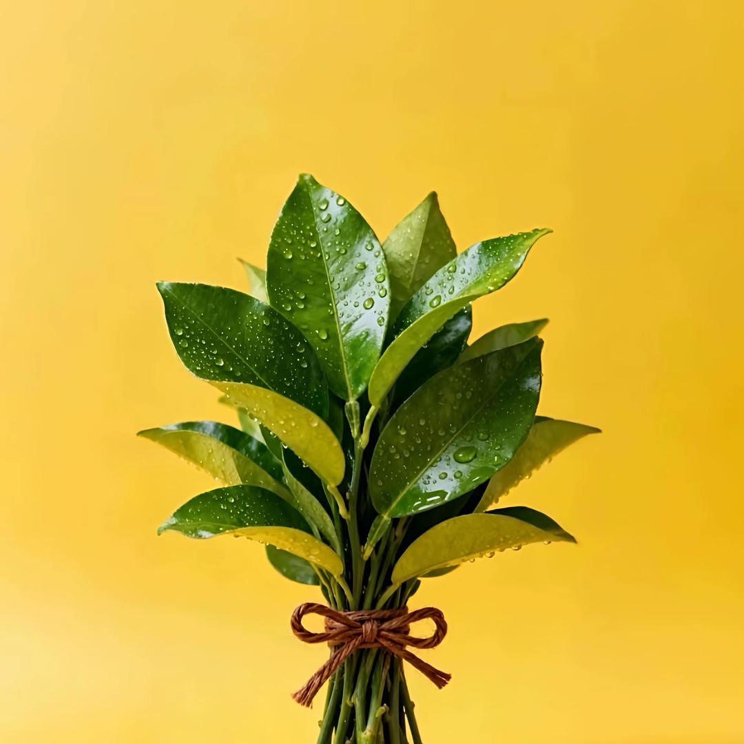 花雾.
