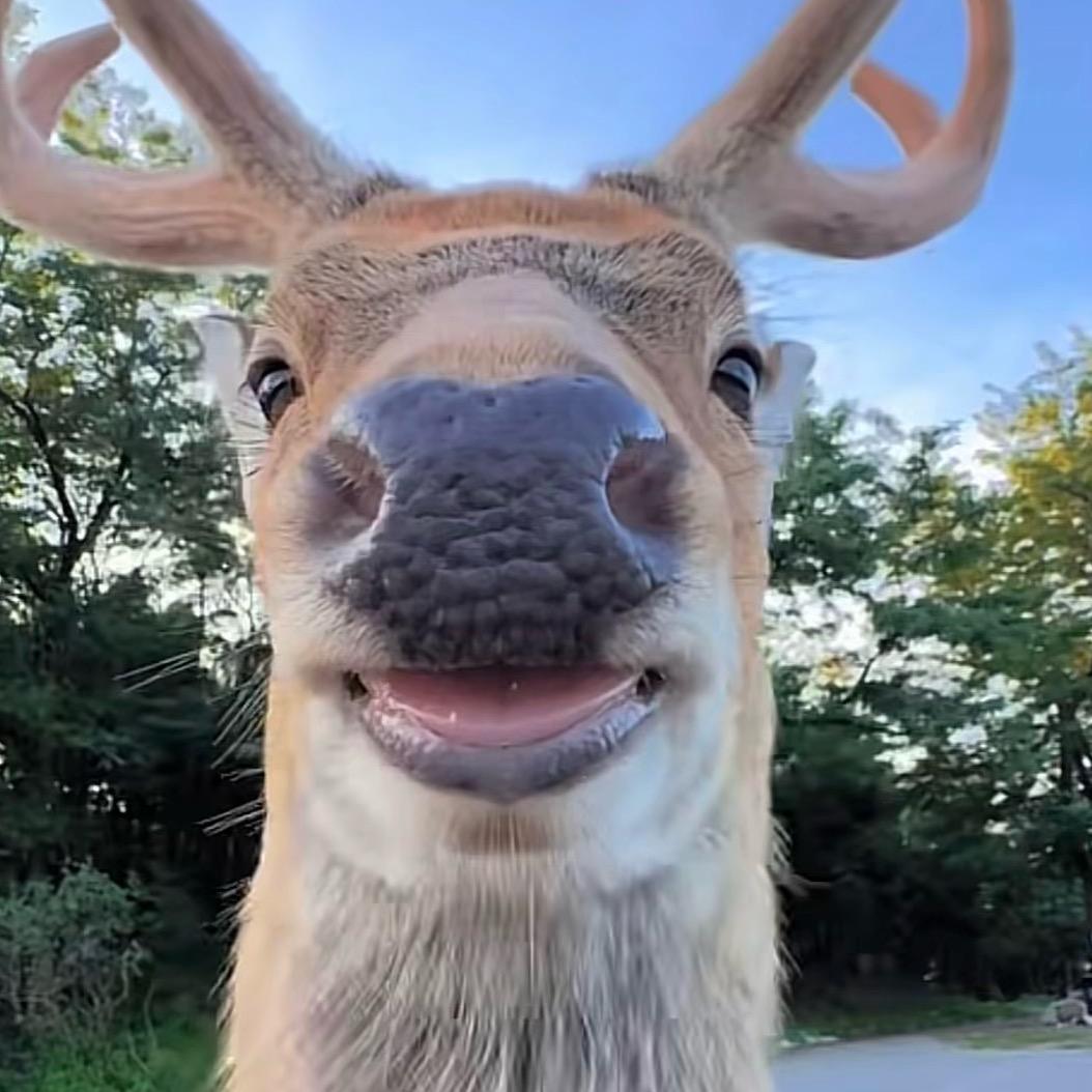 人不能太天真.