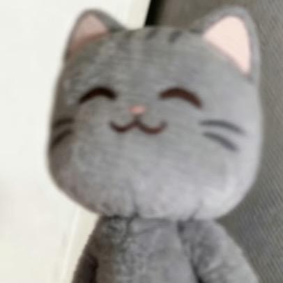 打酱油黑猫
