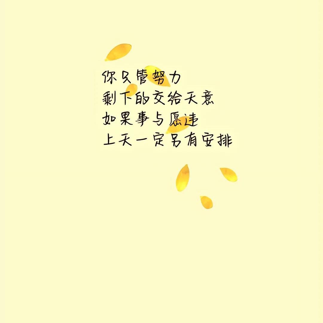 人间李想
