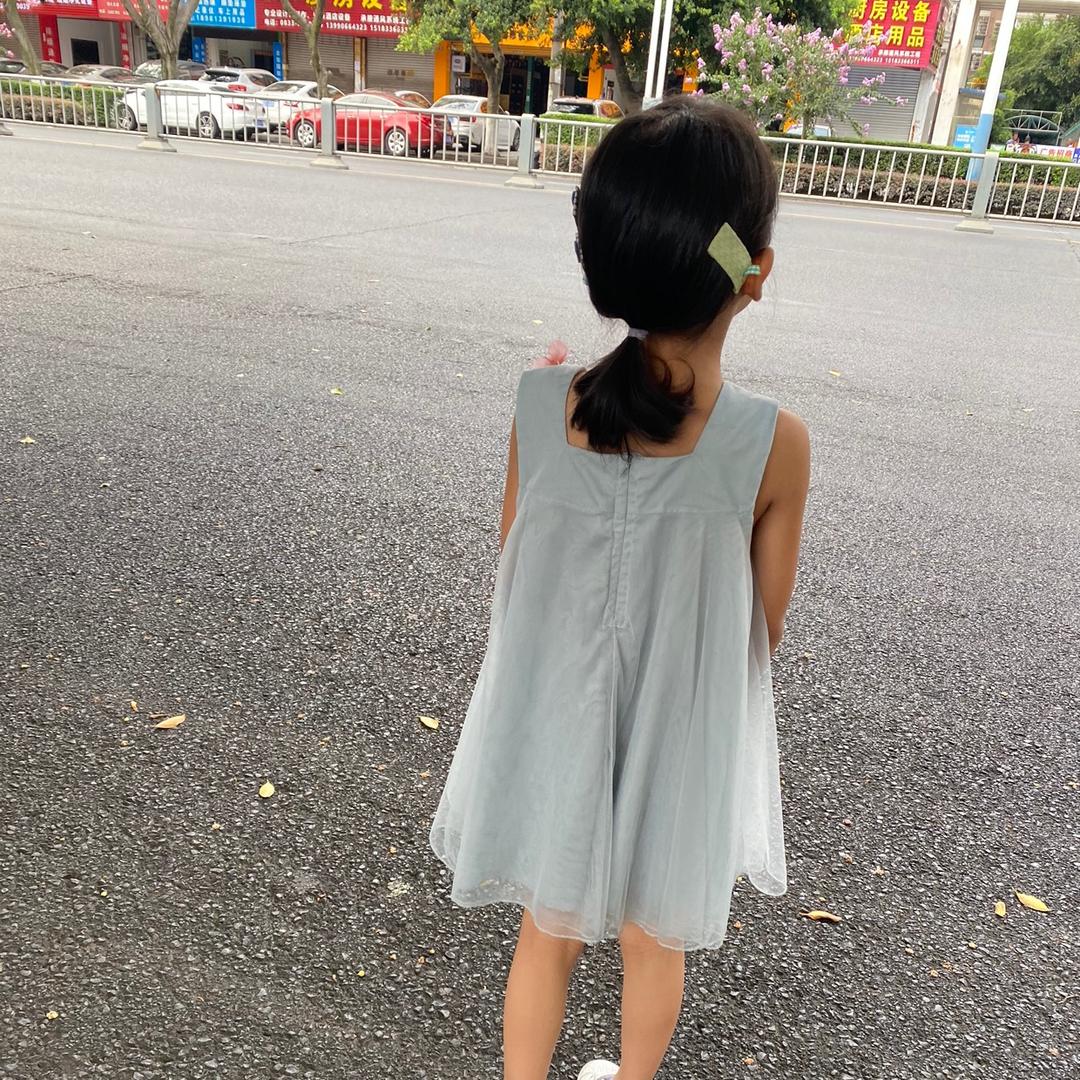🌈🌈小白菜🌈🌈