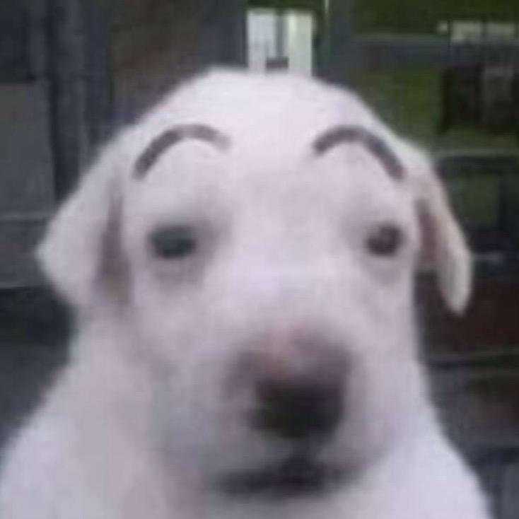 蟑螂肠粉