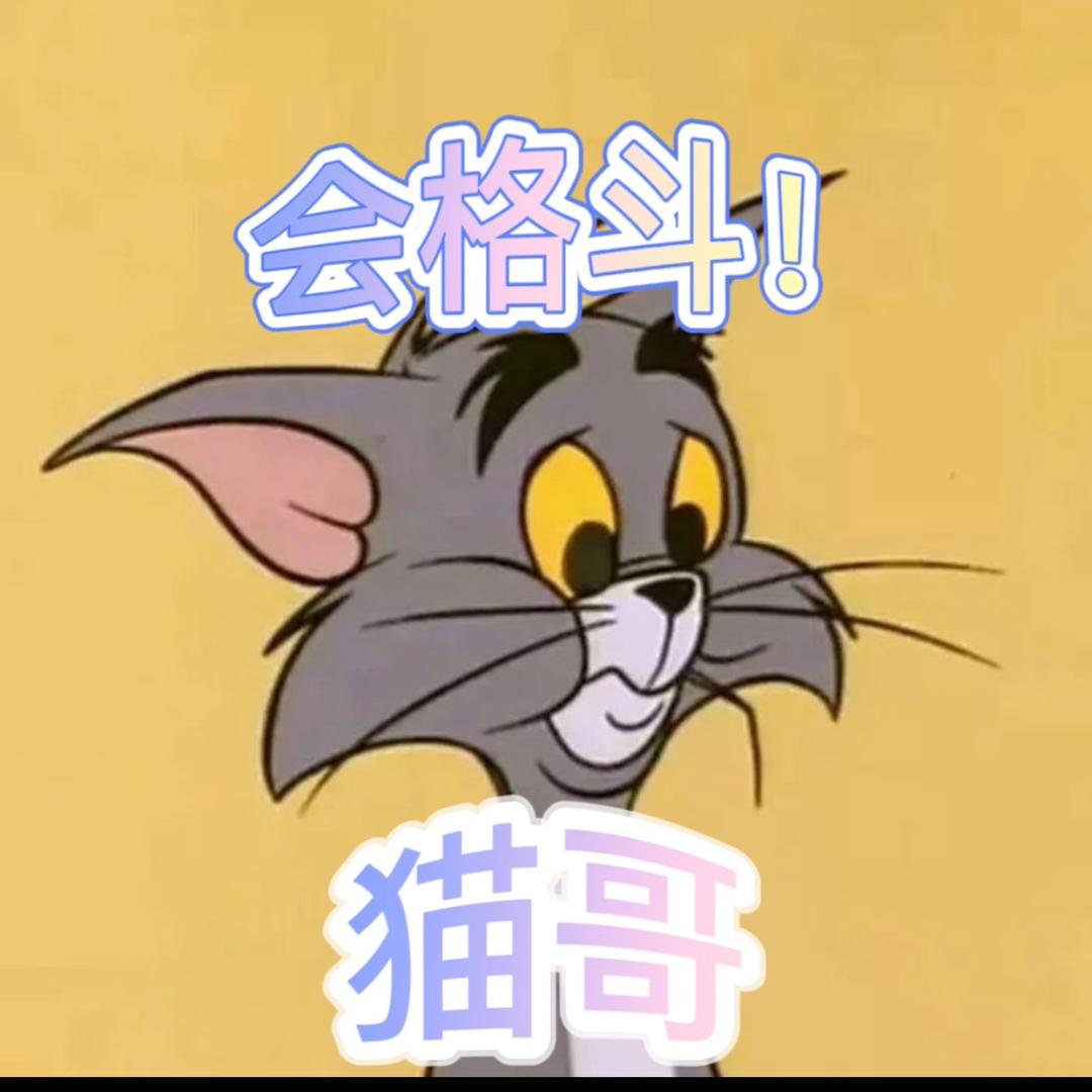 会格斗的猫哥