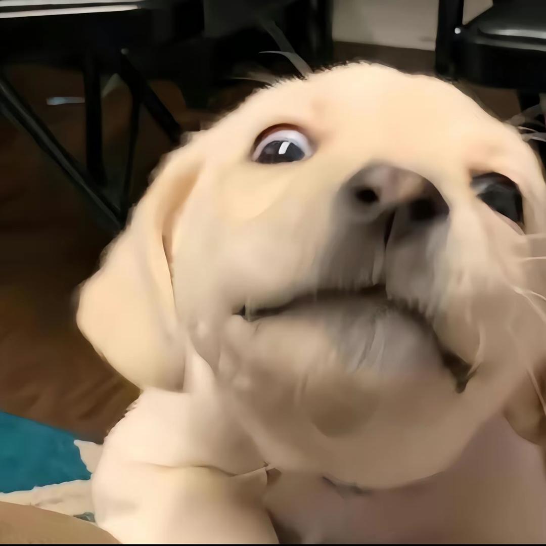 不負而終