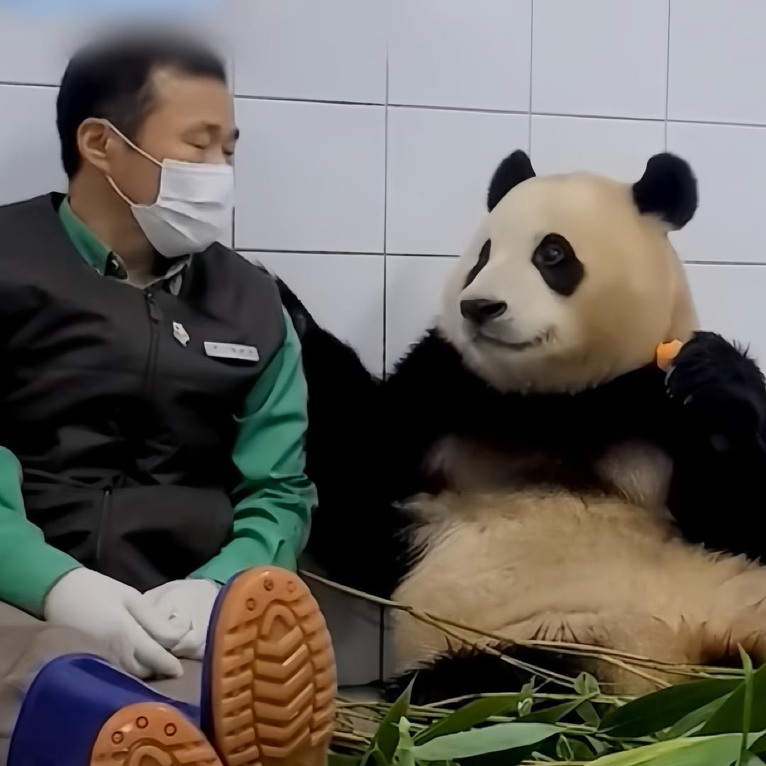 萌兽在这