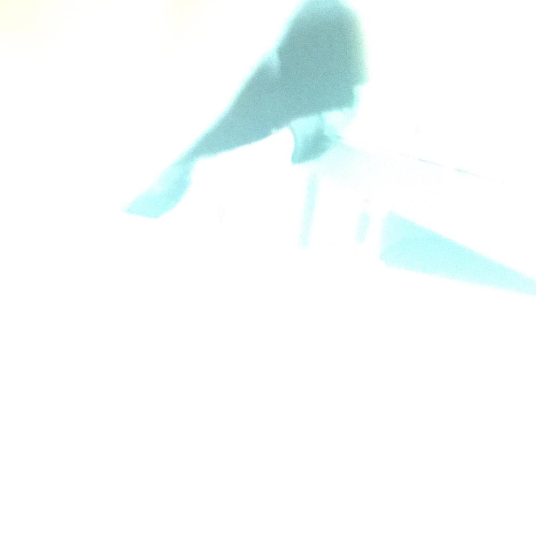 锅里没有米了