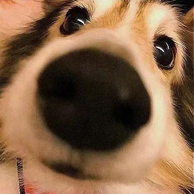 祝我暴富