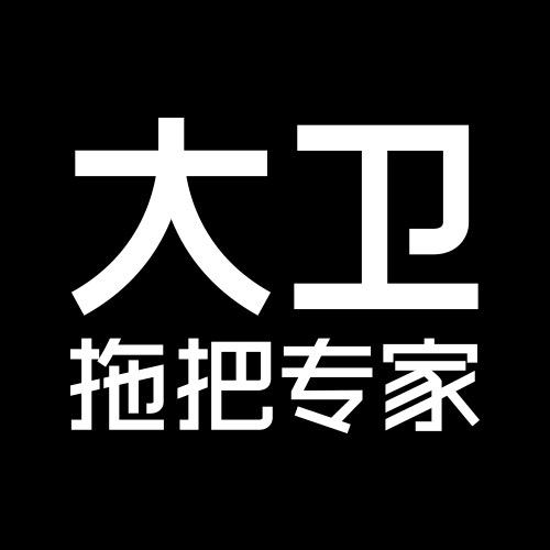 大卫官方旗舰店