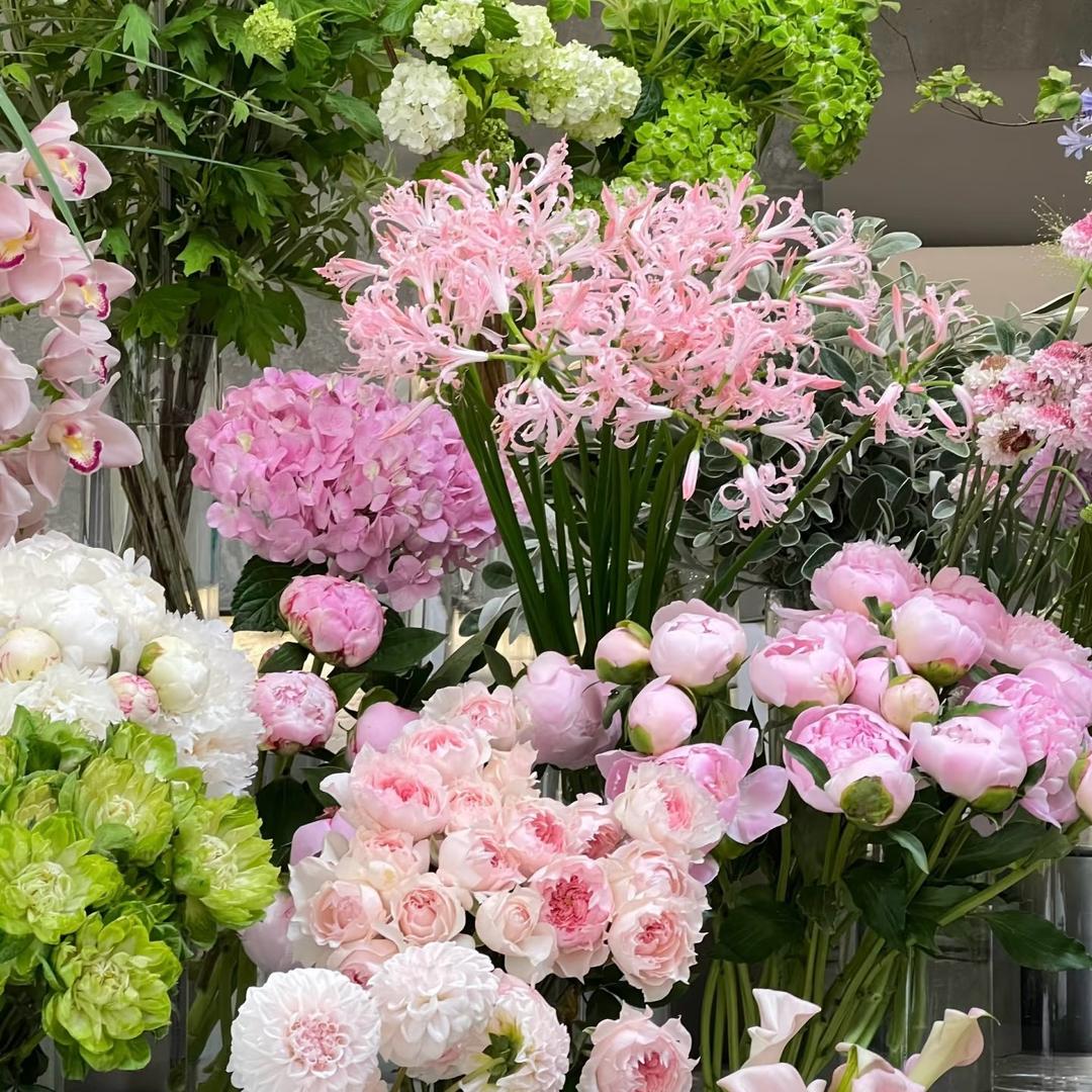 鲜花云仓（生活花，家居花）