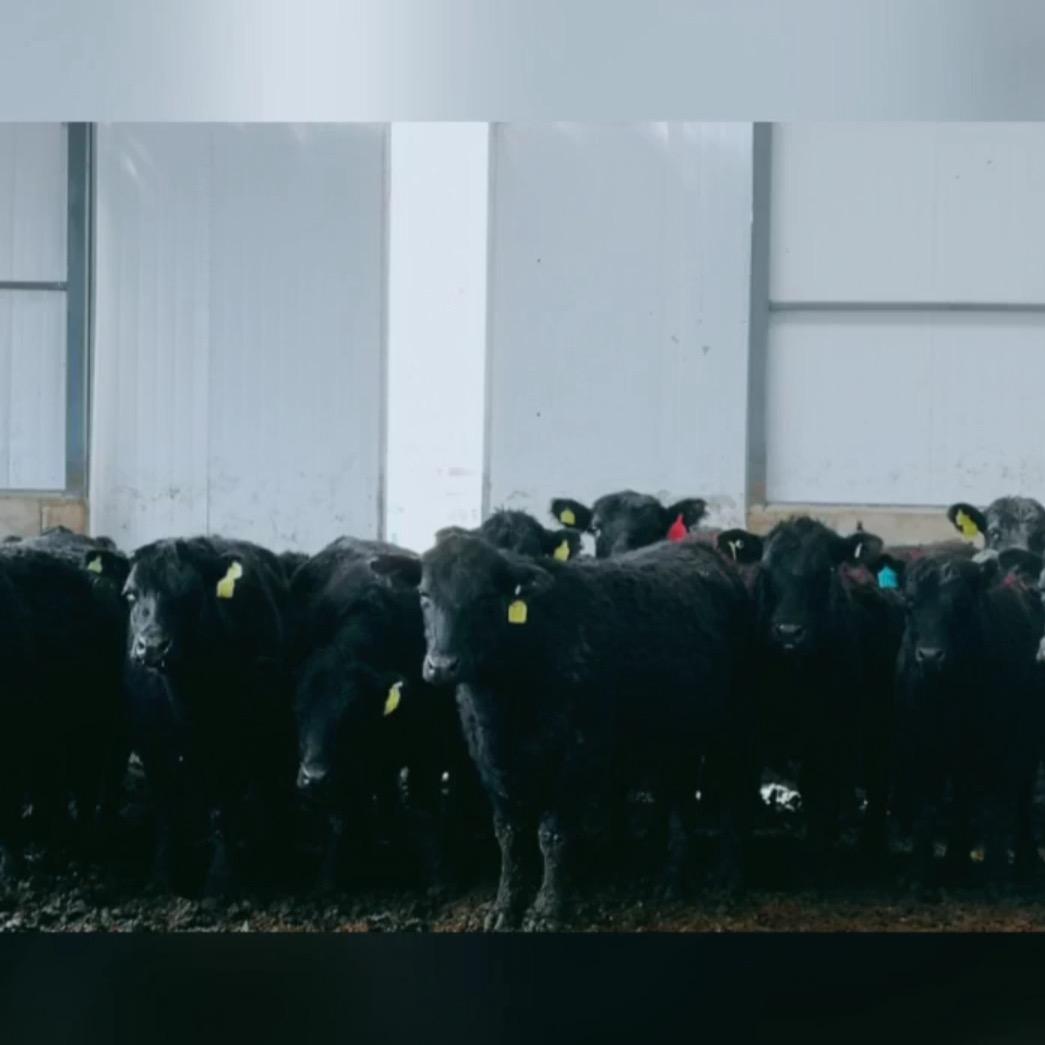 单。。。。。。G