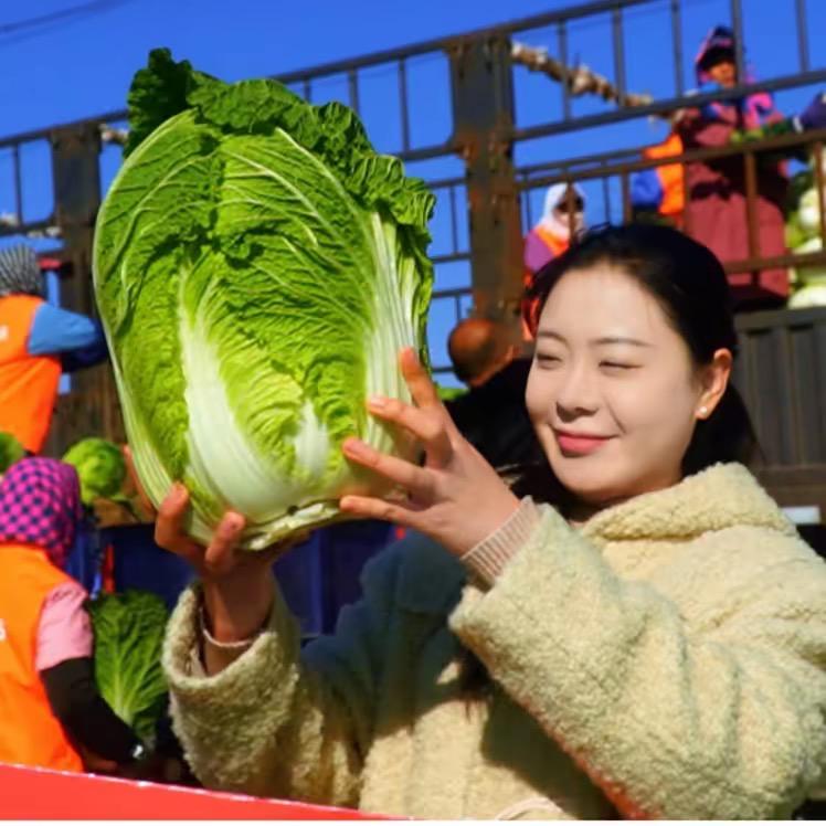 优质种子生活坊