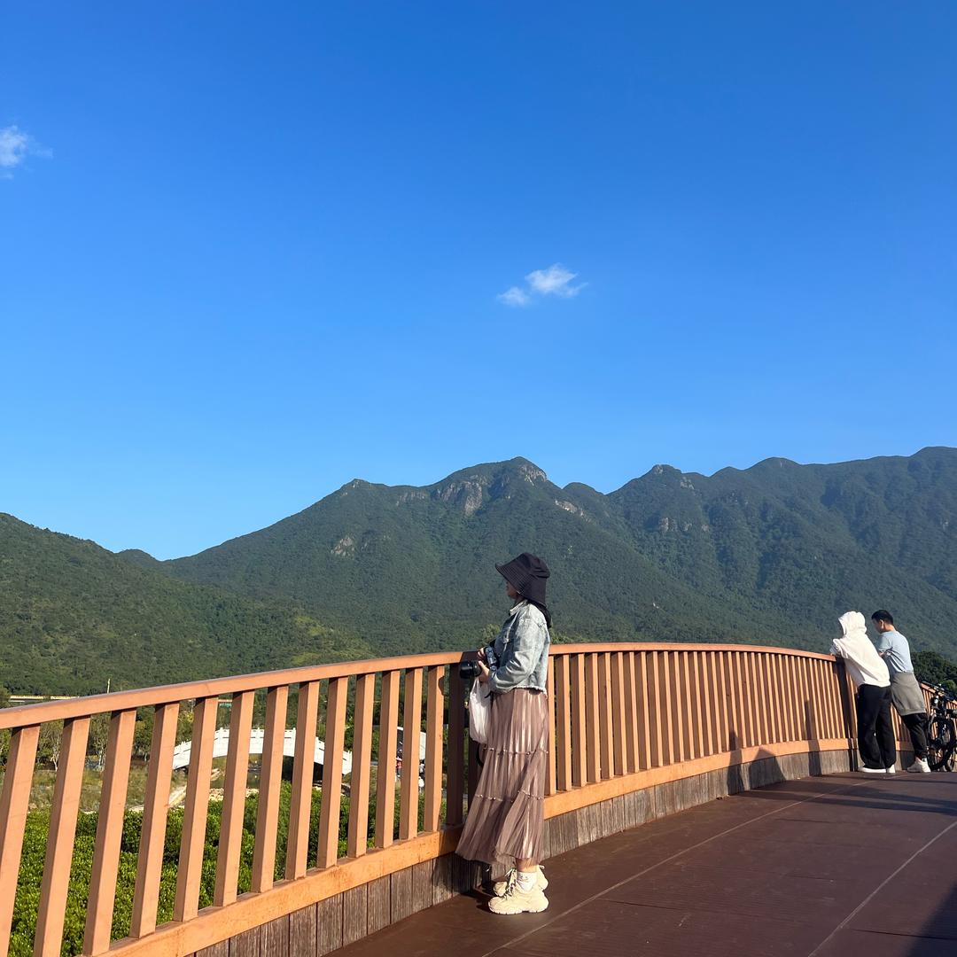 奇思妙想喵小姐