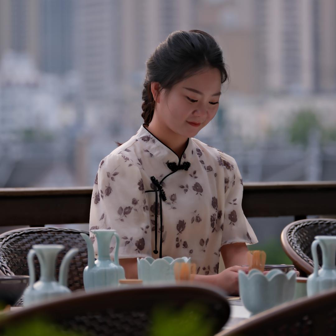 铜仁美大集成灶叶子