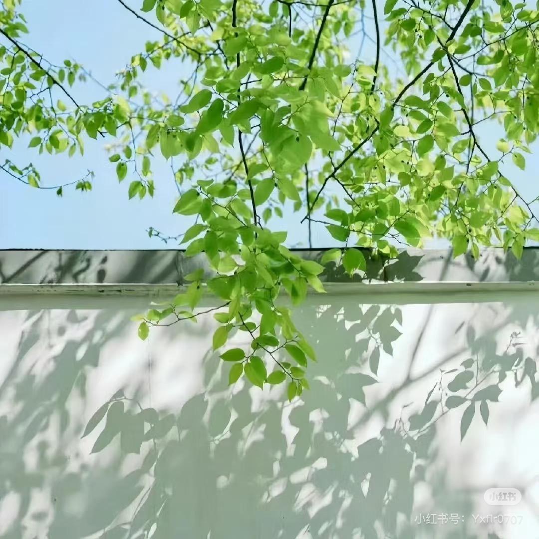 旺仔很忙