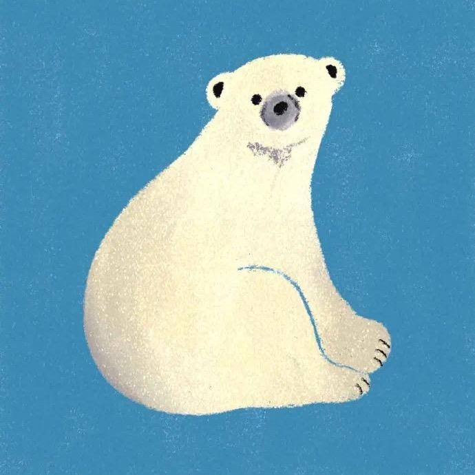 ㅤㅤ    ㅤㅤ