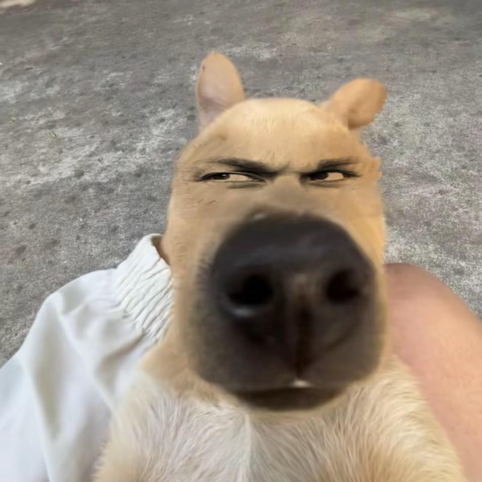 没亲过男人嘴.