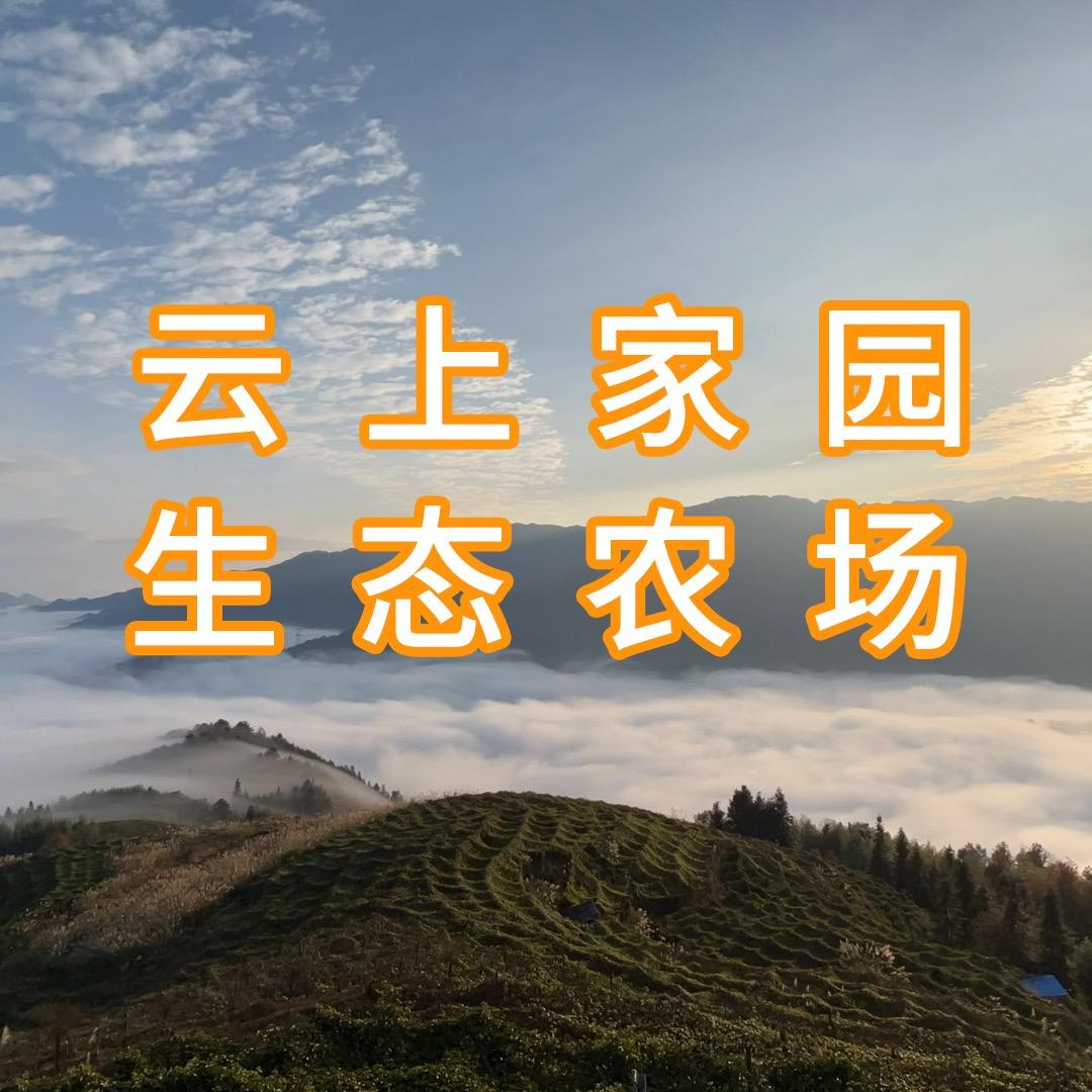 云上家园生态农场