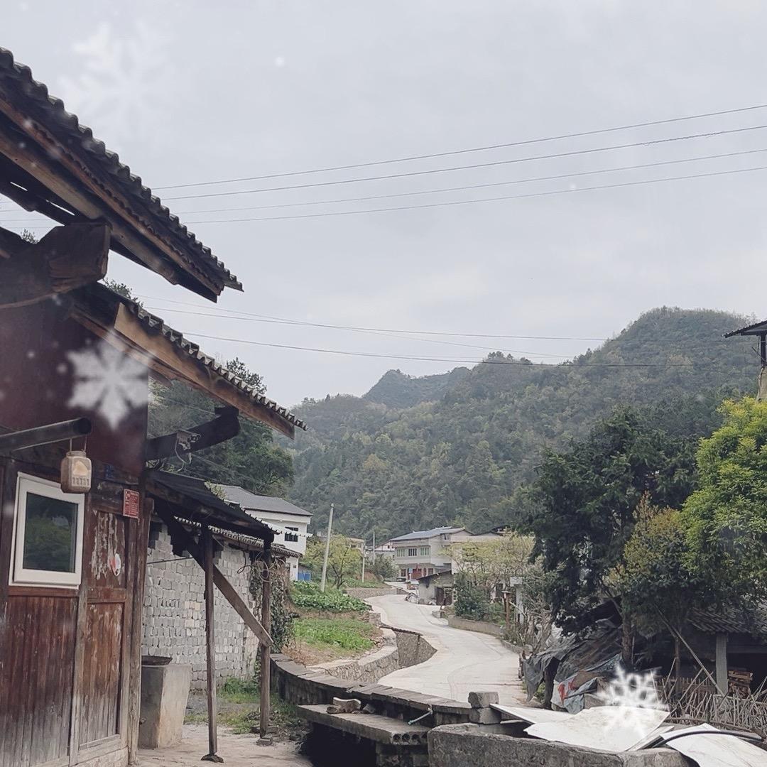 大娃收山货