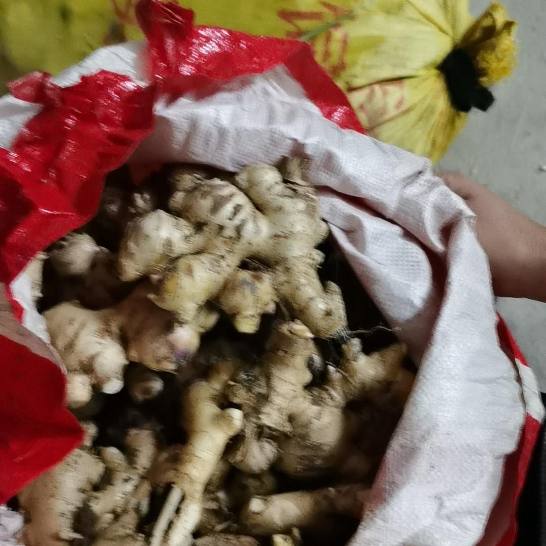 灯哥