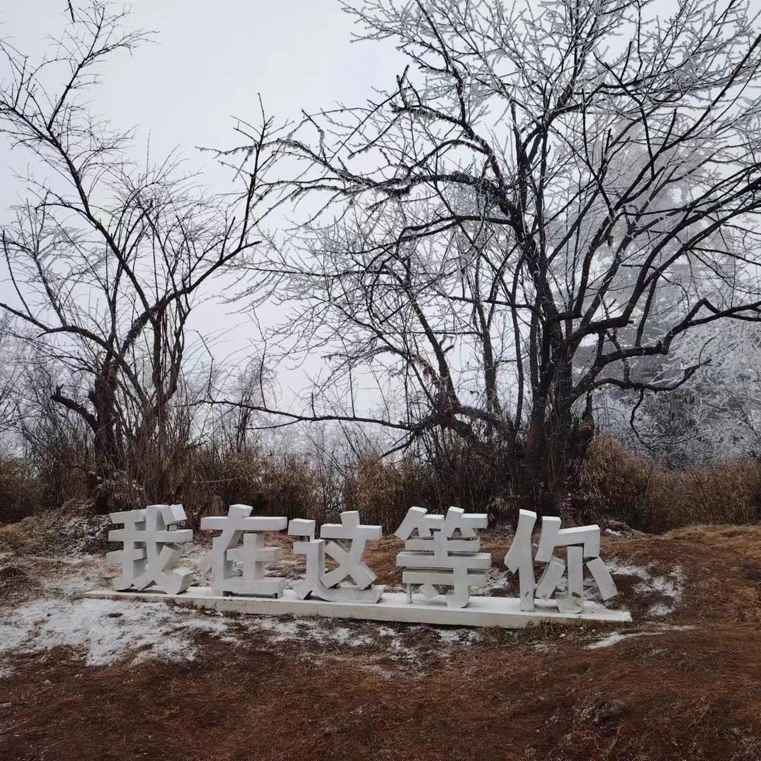 你浓我浓