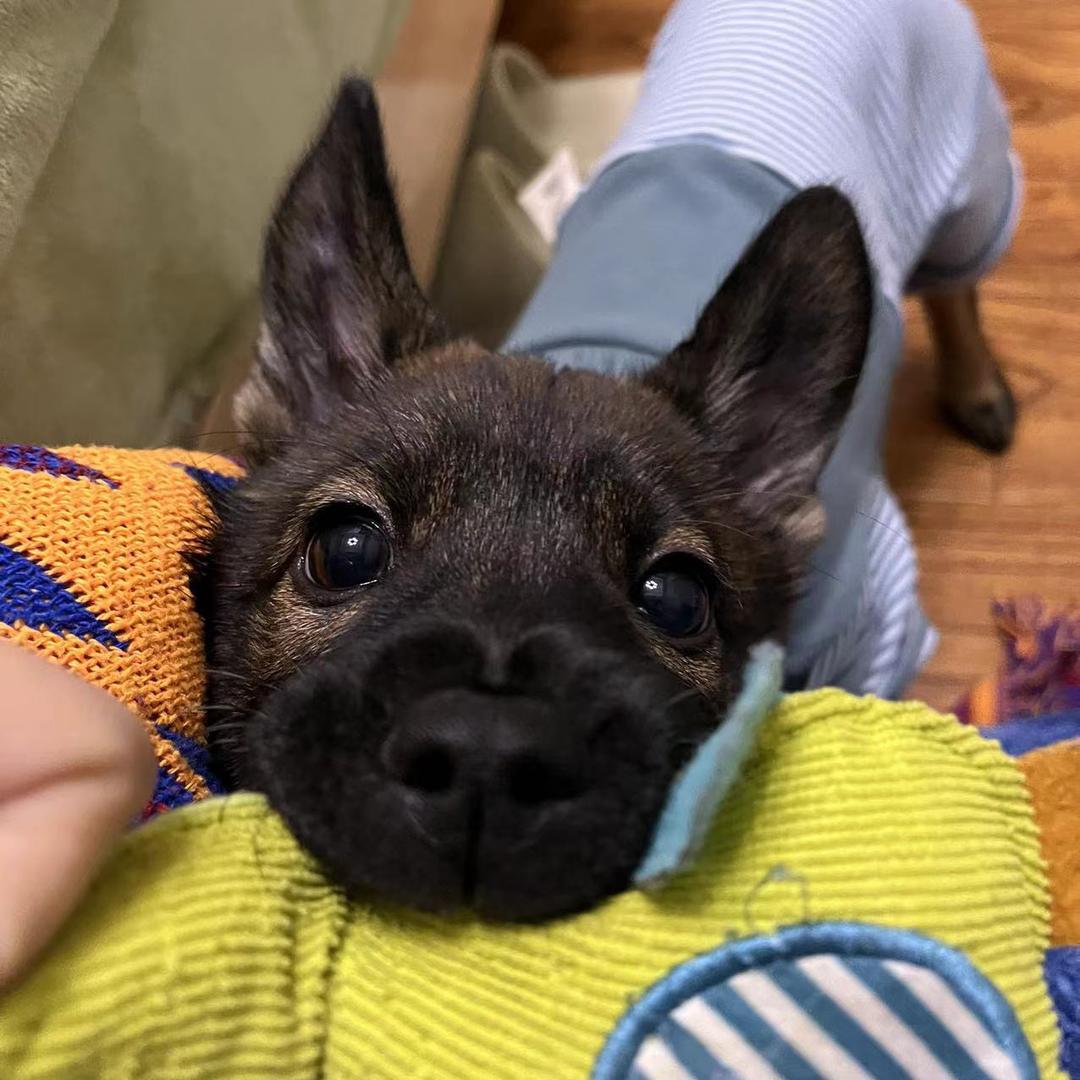 Taco🌮️徐饱昌