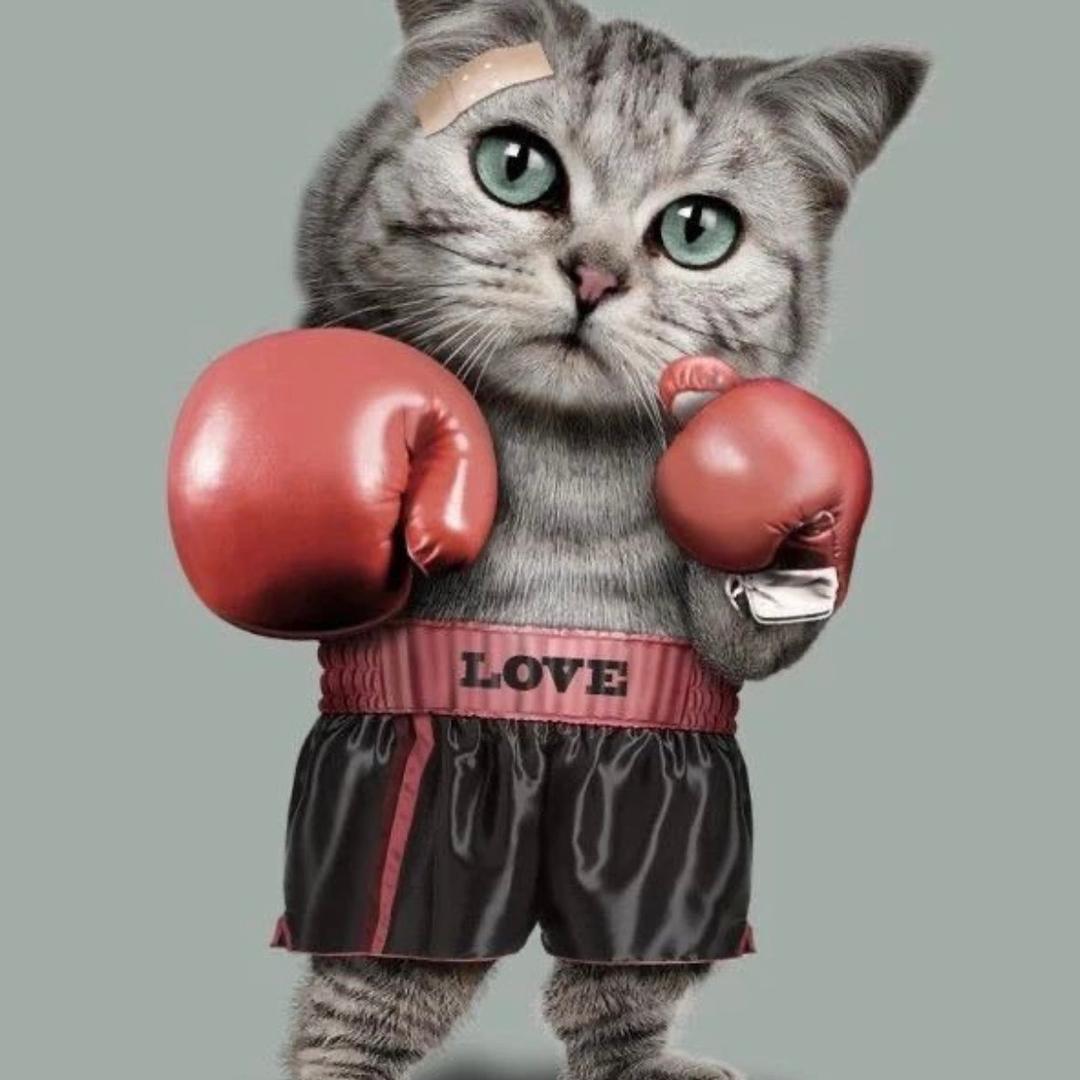 韩釜巷朝族拌饭(世纪金源负一层)官方号